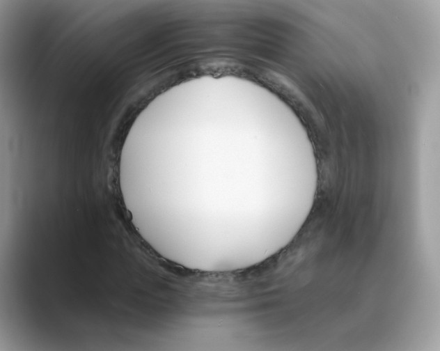 X0000089720823200707051718