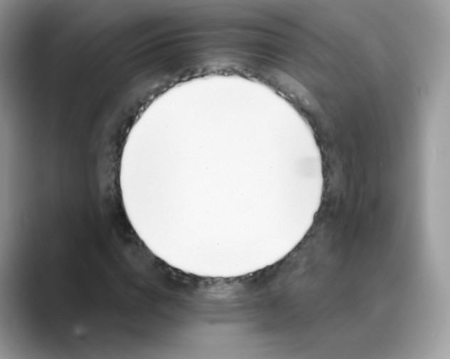 X0000089720824200707051718