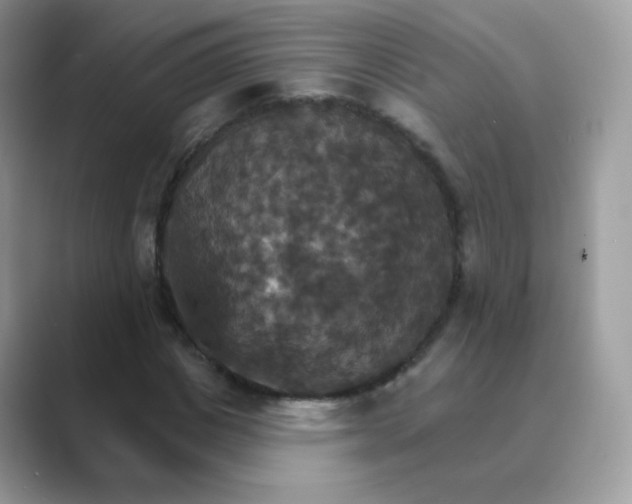 X0000089720825200707051718