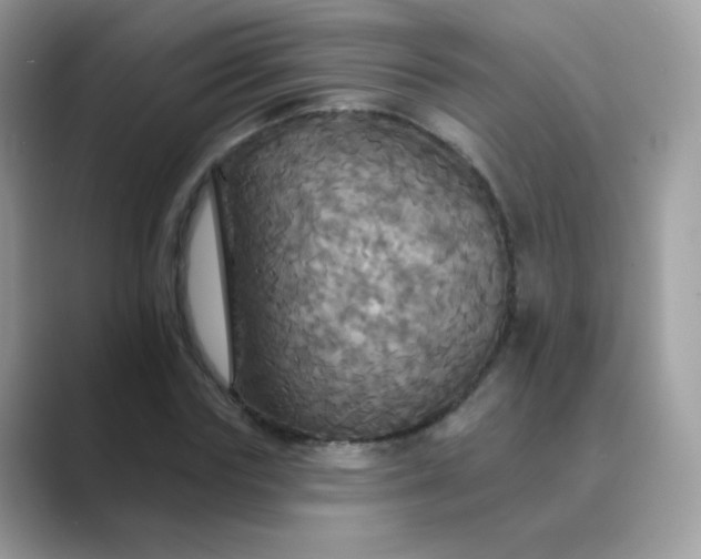 X0000089720827200707051718