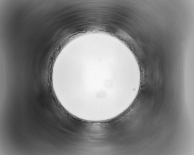X0000089720828200707051718