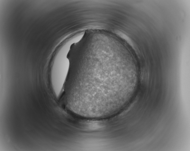X0000089720829200707051718