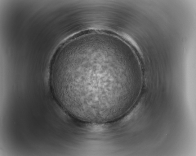 X0000089720831200707051718