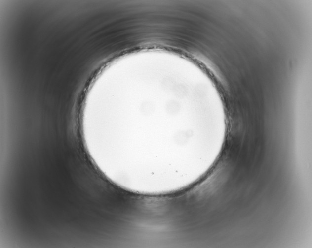 X0000089720832200707051718
