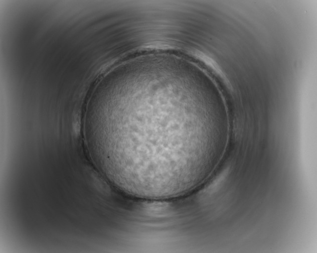 X0000089720833200707051718
