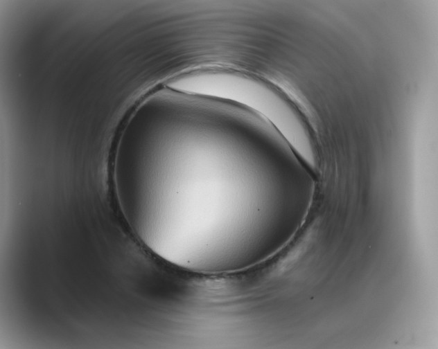 X0000089720834200707051718