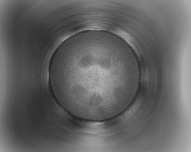 X0000089720837200707051718