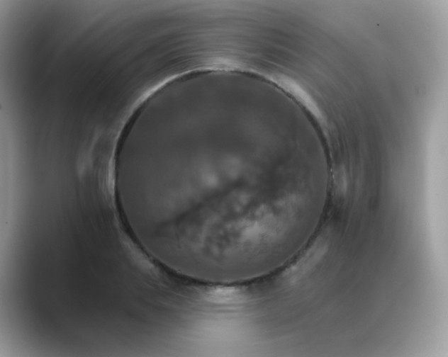 X0000089720839200707051718