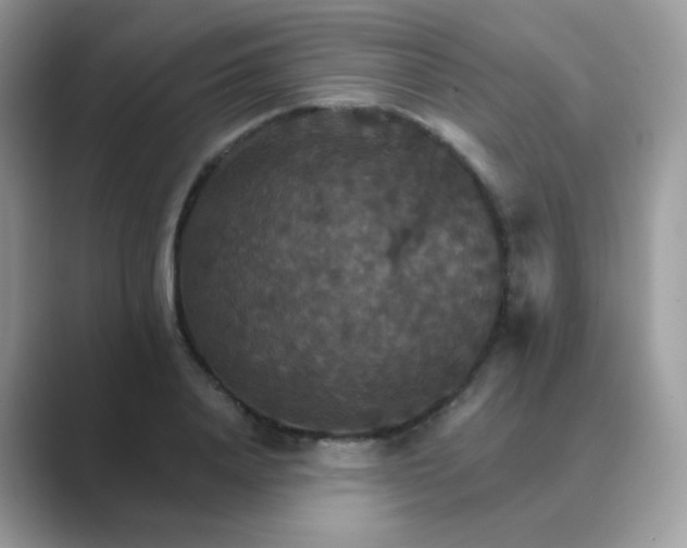 X0000089720840200707051718