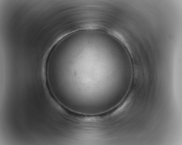 X0000089720843200707051718