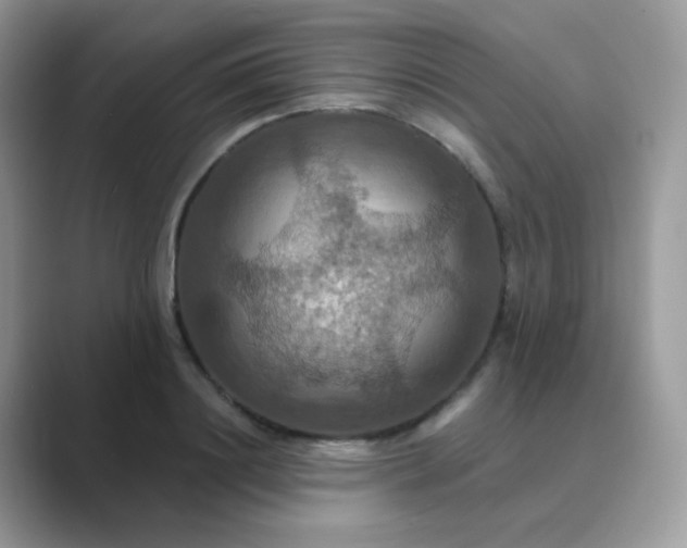 X0000089720844200707051718