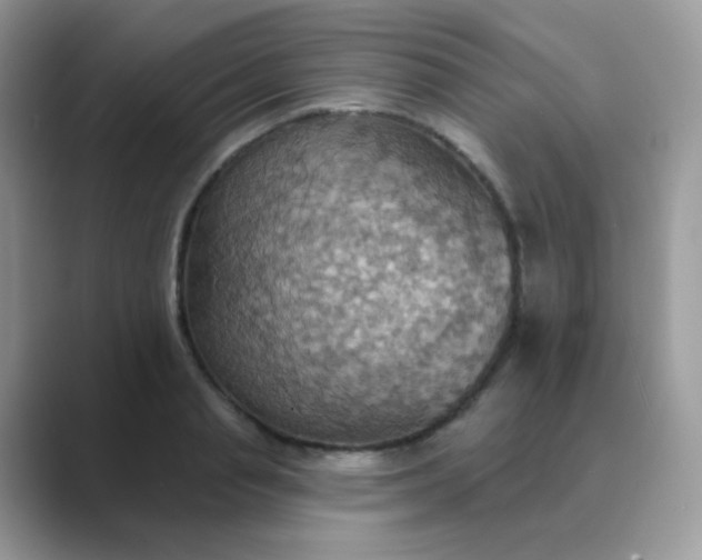 X0000089720845200707051718