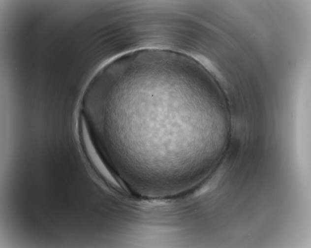 X0000089720846200707051718