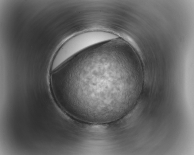 X0000089720847200707051719