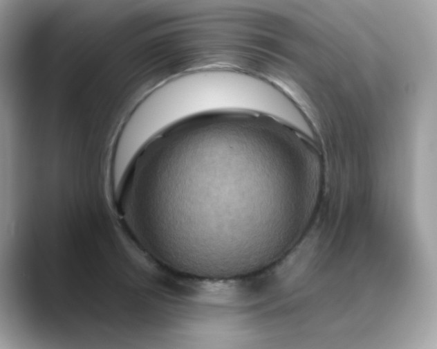 X0000089720850200707051719