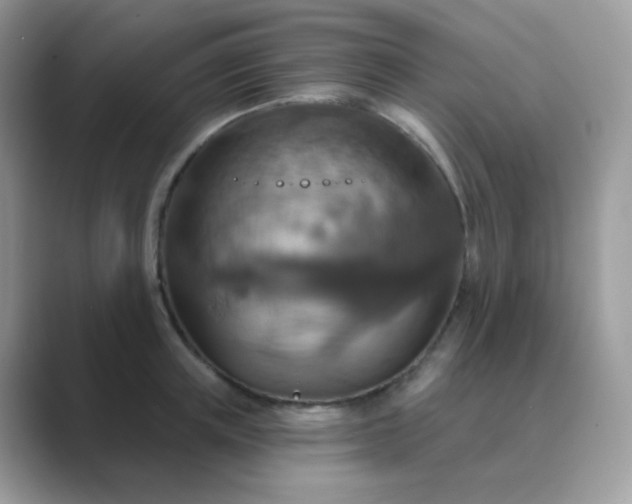 X0000089720851200707051719