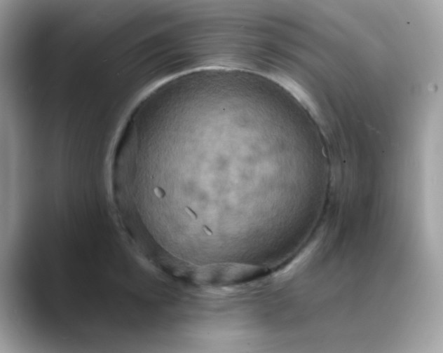 X0000089720854200707051719