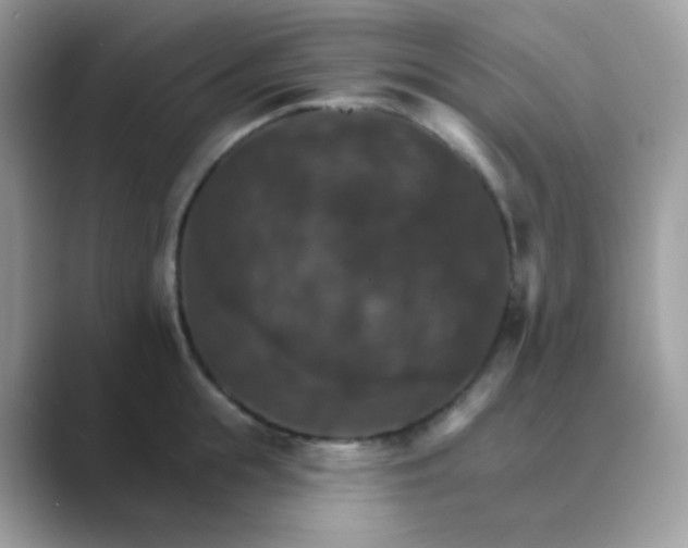 X0000089720855200707051719