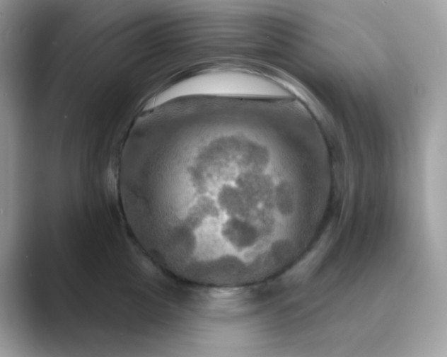 X0000089720857200707051719