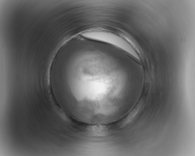 X0000089720858200707051719