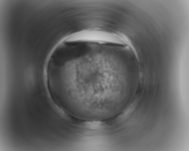 X0000089720859200707051719