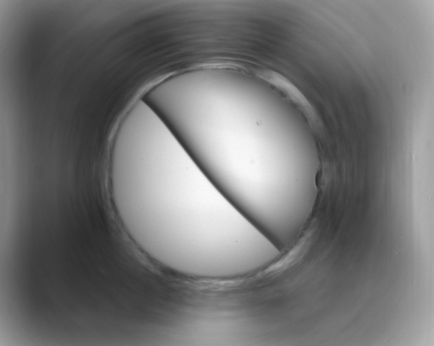 X0000089720860200707051719