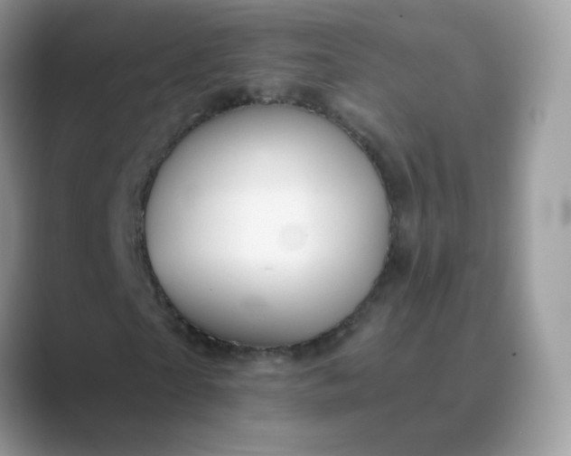 X0000089720865200707051718