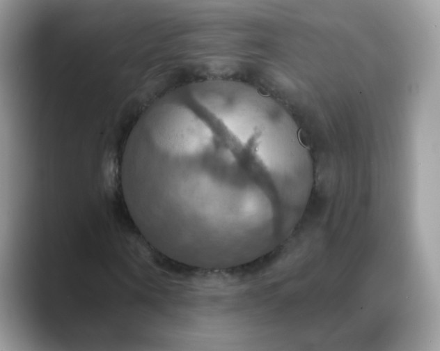 X0000089720866200707051718