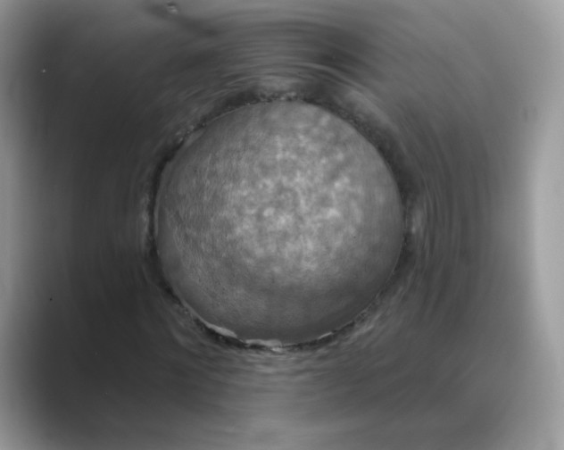 X0000089720868200707051718