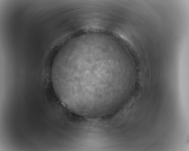 X0000089720870200707051718