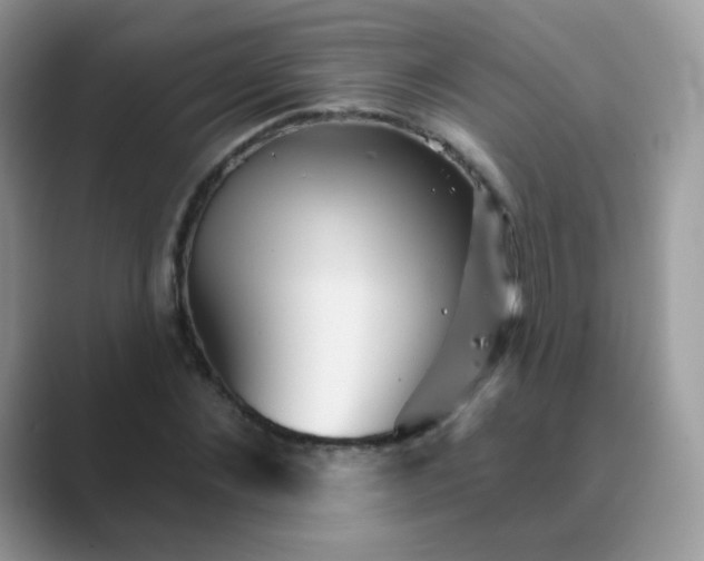 X0000089720876200707051718