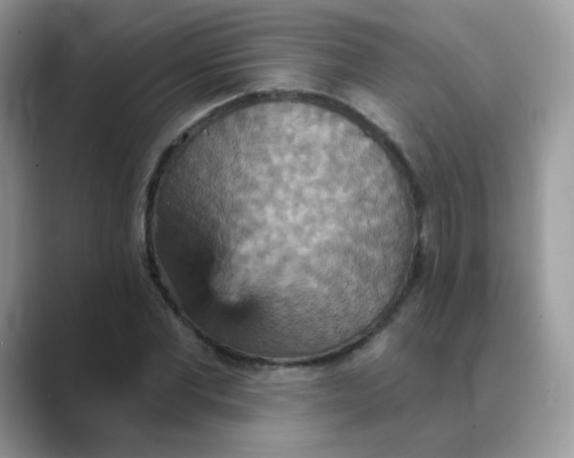X0000089720877200707051718