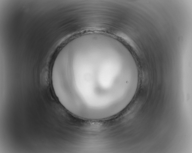 X0000089720878200707051718