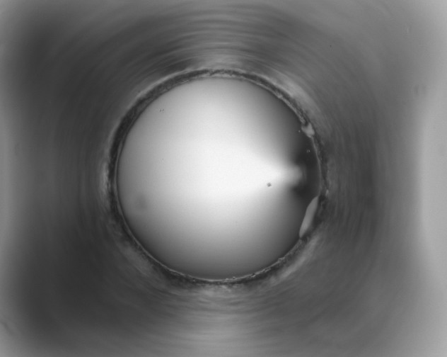 X0000089720880200707051718
