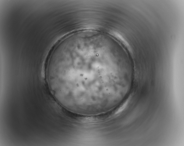 X0000089720883200707051718