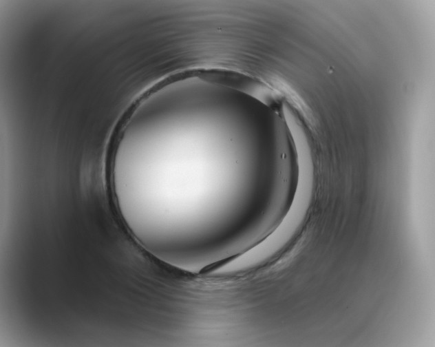 X0000089720884200707051718