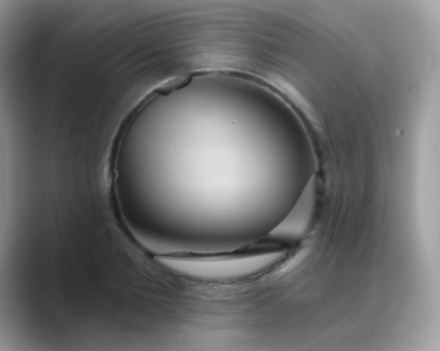 X0000089720885200707051718