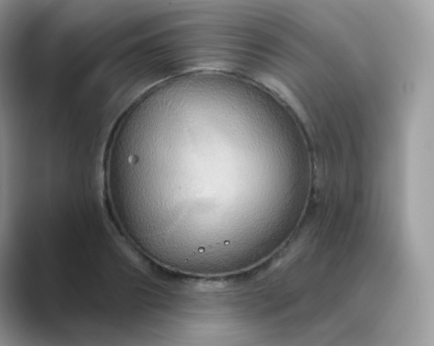 X0000089720890200707051718