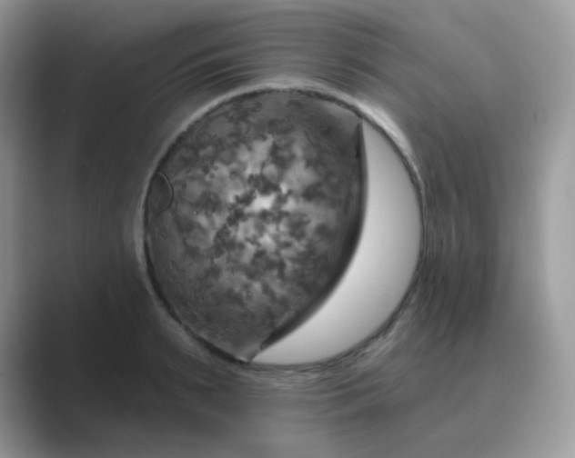 X0000089720895200707051718