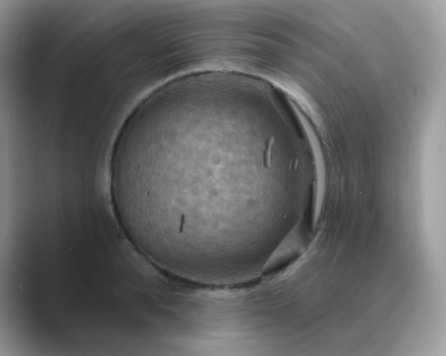 X0000089720896200707051718