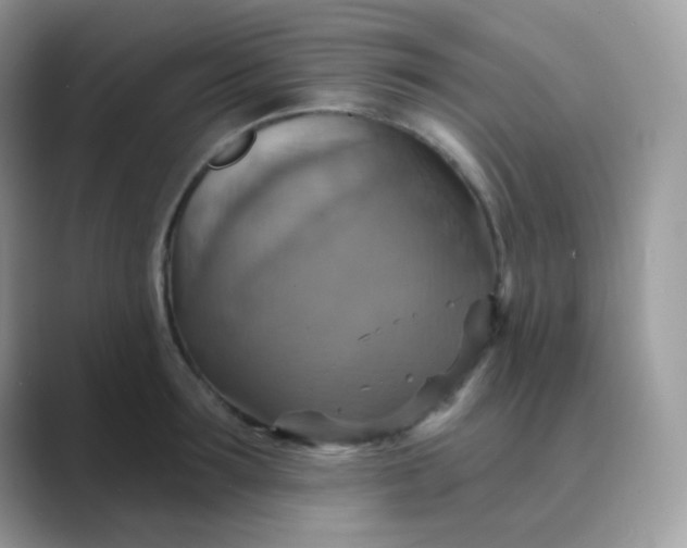 X0000089720899200707051718