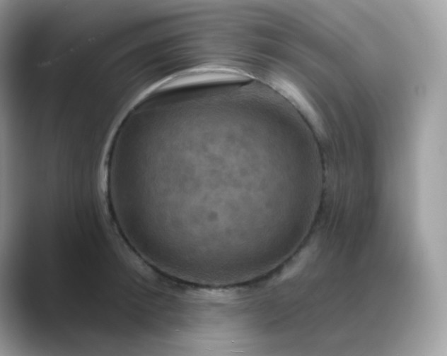 X0000089720900200707051718