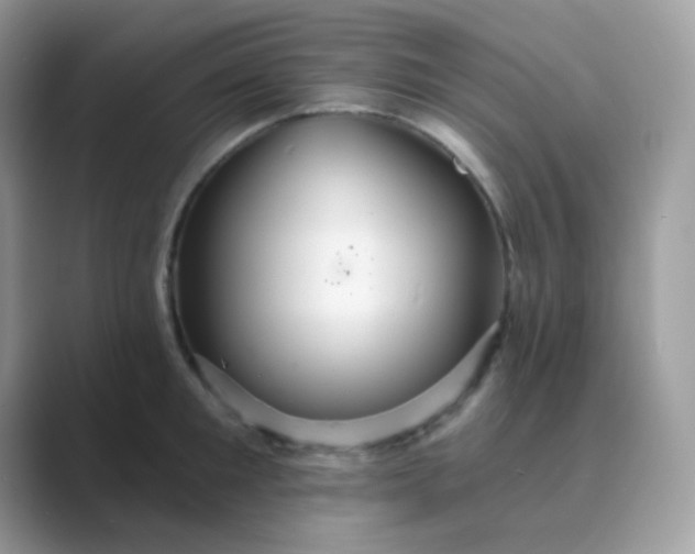 X0000089720901200707051718