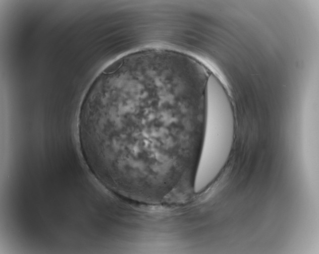 X0000089720903200707051718