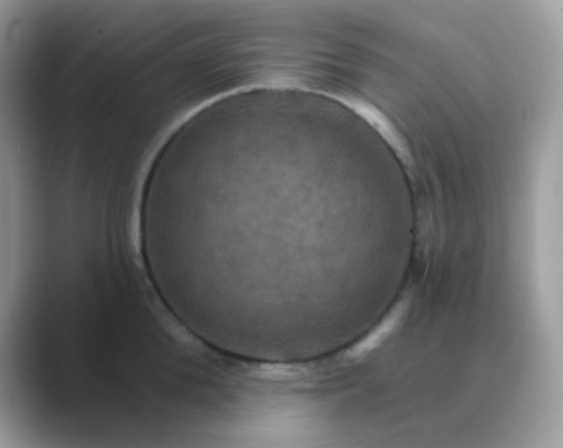 X0000089720904200707051717