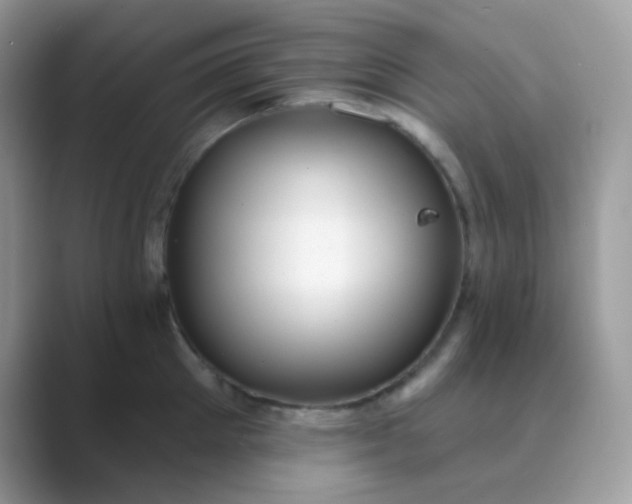 X0000089720905200707051717