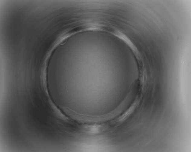 X0000089720910200707051717