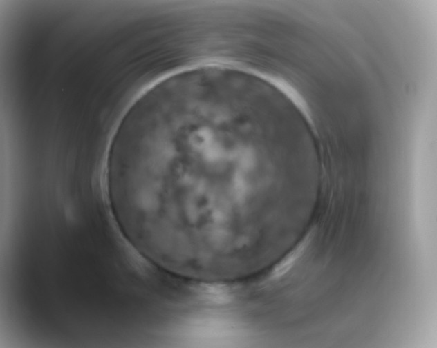 X0000089720911200707051717