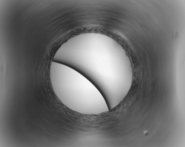 X0000089720919200707051717