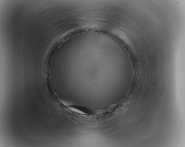 X0000089720920200707051717